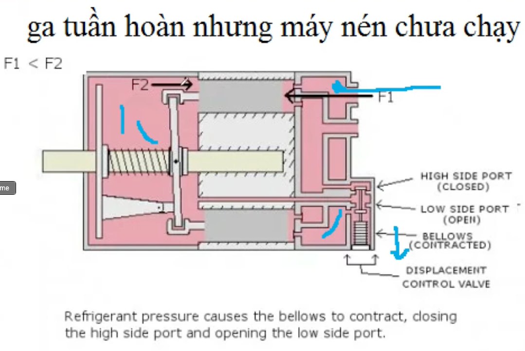 /img/img.png